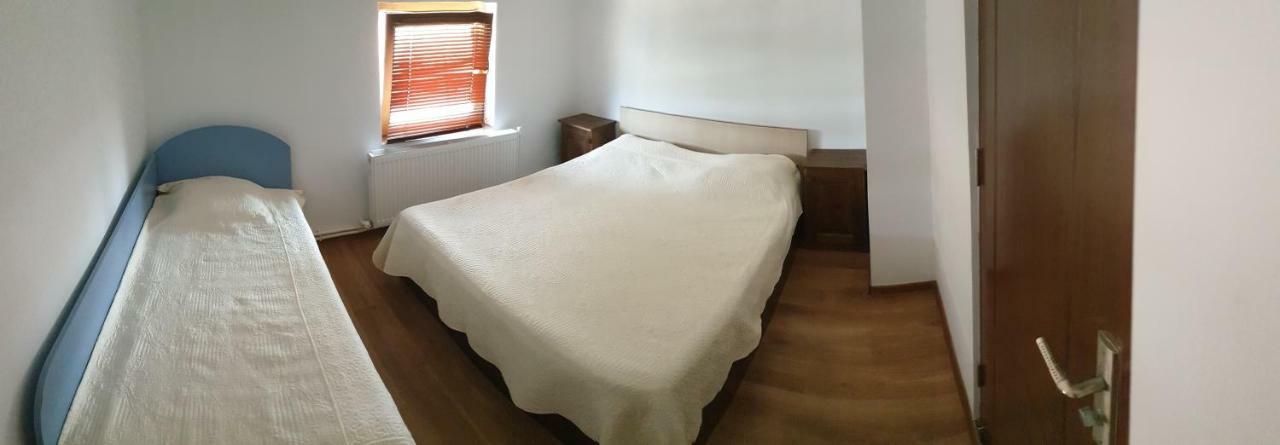 Partizanii Casa Marcone 게스트하우스 외부 사진